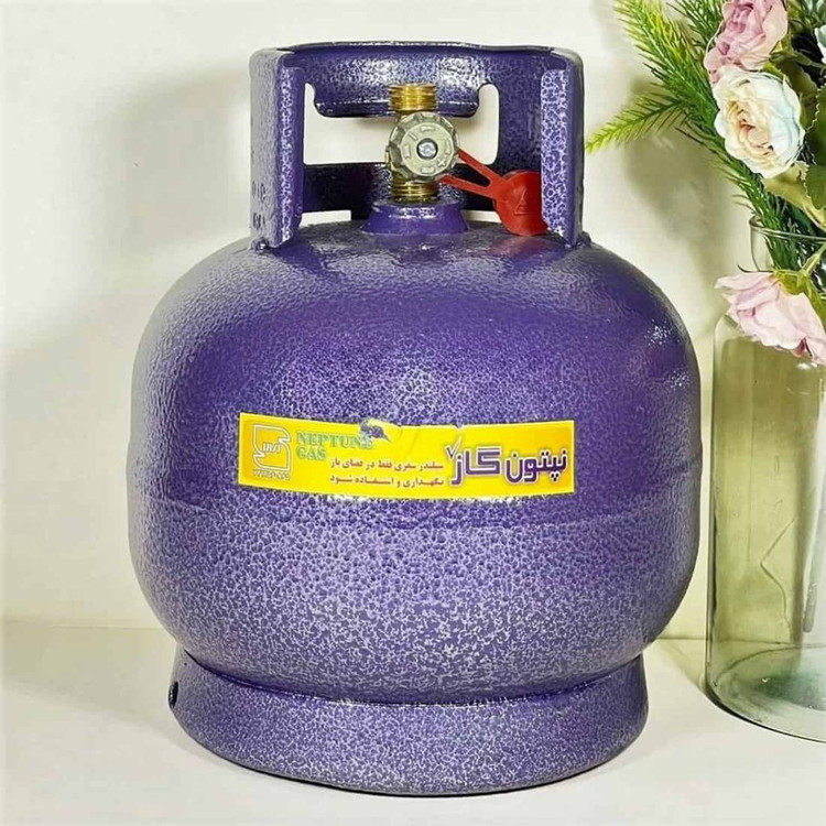 اجاق گاز پیکنیکی گازمایع 2.5کیلو نپتون گاز